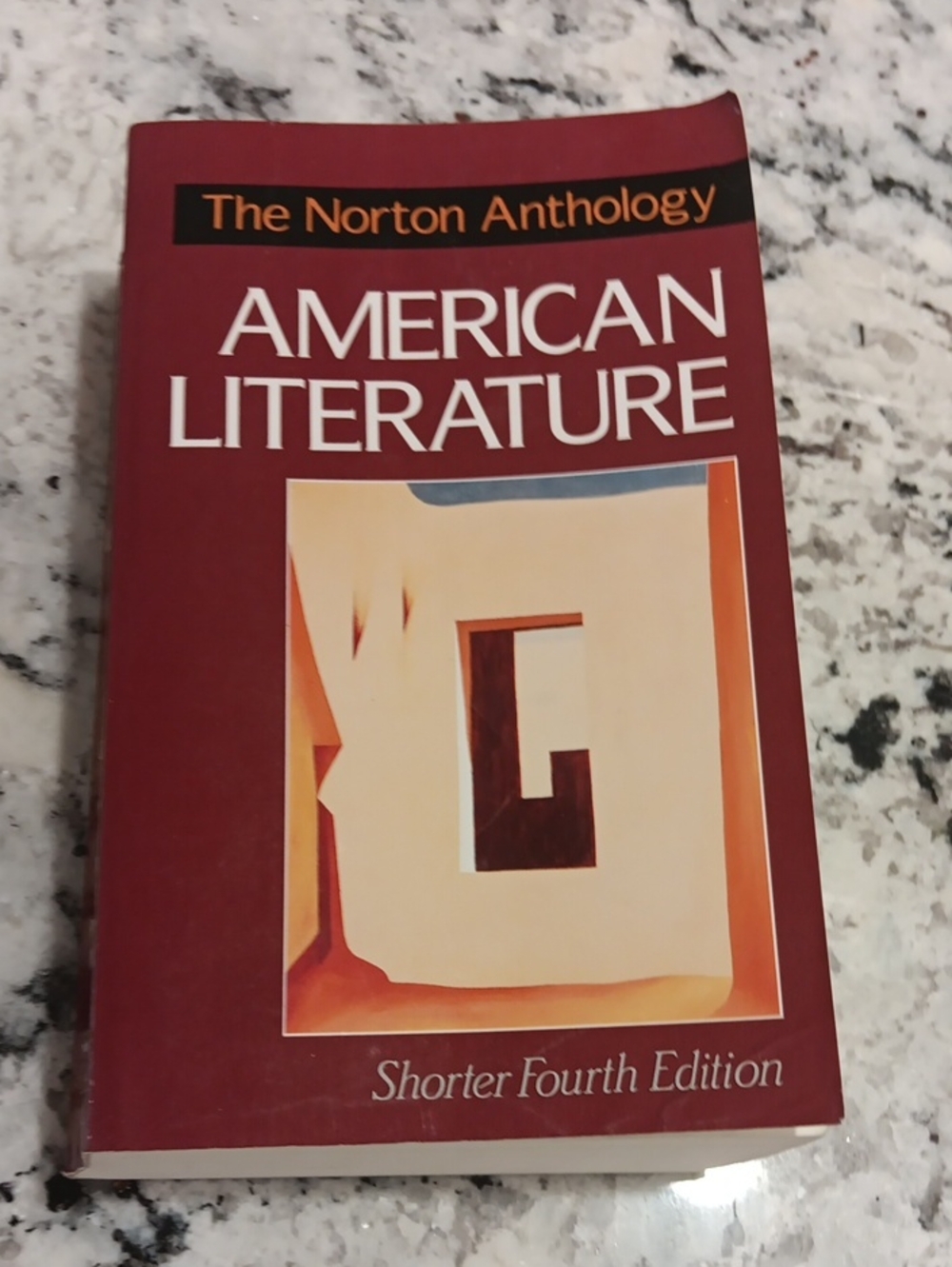 American Literature Paperback